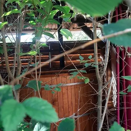 Appartement Rusztika